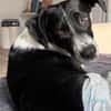 Wunderbare♥Wilma♥wartet in 04157 Leipzig
