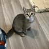 Dori sucht ein liebevolles Zuhause