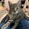 Daisy sucht ein liebevolles Zuhause