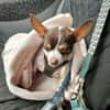 ♥♥Maya sucht ein Zuhause♥♥