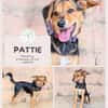 Pattie: Unser Gute-Laune-Paket
