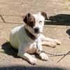 Klein♥Abbie♥Schmusemaus 63820 Elsenfeld