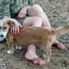 Charakterhund Lizu sucht eigene Familie