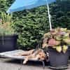 SKROLLAN -benötigt Zeit um zu Vertrauen-