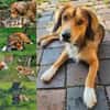 Cliff sucht -seinen Partner-