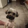 PAQUITO