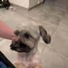 PAQUITO