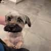 PAQUITO