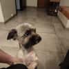 PAQUITO