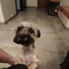 PAQUITO