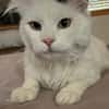 MYSTER