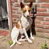 Teddy3 sucht ein Zuhause