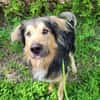 Jumper, Rohdiamant mit viel Potential