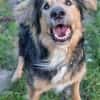 Jumper, Rohdiamant mit viel Potential