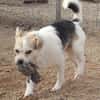 Bobby liebt das Leben