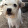 Bobby liebt das Leben
