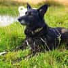 SUZANA - aktive, tolle Lady