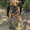 Abenteuer Bruno sucht seine Familie!