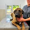 Abenteuer Bruno sucht seine Familie!