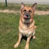 BALOO