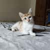 ABY