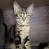 PRUE