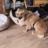 LOTTI 2 ist zauberhaft