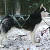 FELIX 2 ist liebenswert und freundlich