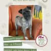 Rifki sucht ab November ein zu Hause