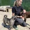 Rifki sucht ab November ein zu Hause
