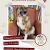 Emma sucht ab November ein zu Hause