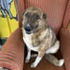 Emma sucht ab November ein zu Hause