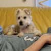 💛 BOUBI 💛 - SUCHT NEUES ZUHAUSE!