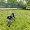 COOPER