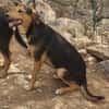 Die 3 Musketiere