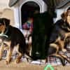 Die 3 Musketiere