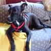 Cara 💜💜💜 Happy-Home gesucht