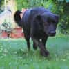 Elsa sucht ihr Happy End
