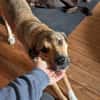 Lerne Nena (1,5 Jahre) in Leipzig kennen