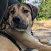 Lerne Nena (1,5 Jahre) in Leipzig kennen