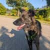 super Leva in Wegscheid BY