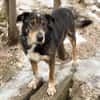 LEVA-liebevolle Familue gesucht