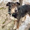 LEVA-liebevolle Familue gesucht