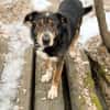 LEVA-liebevolle Familue gesucht