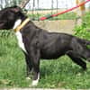 RUBY (réservée)