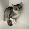 CATSBY