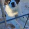 THELMA