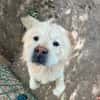 BALU