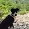 CHOUPIE