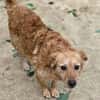 LOLA 2 sucht Familie